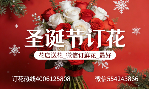 ���ݹ��ػ���